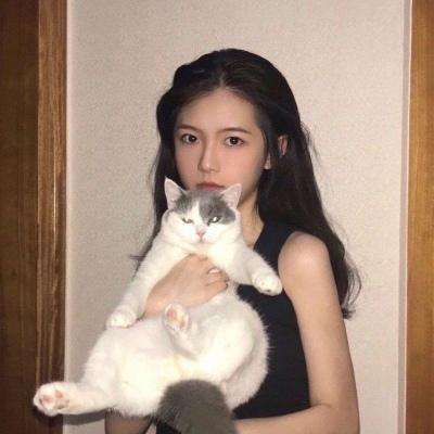 圣灵之光手游下载